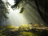 /album/fotogaleria/paisaje-jpg/